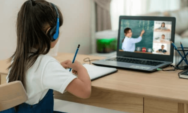 Shaping Tomorrow: Opportunities and Challenges in Online Public Education