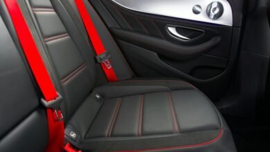 wyrkordehidom safety and benefits