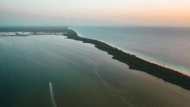 zixyurevay safety concerns highlighted