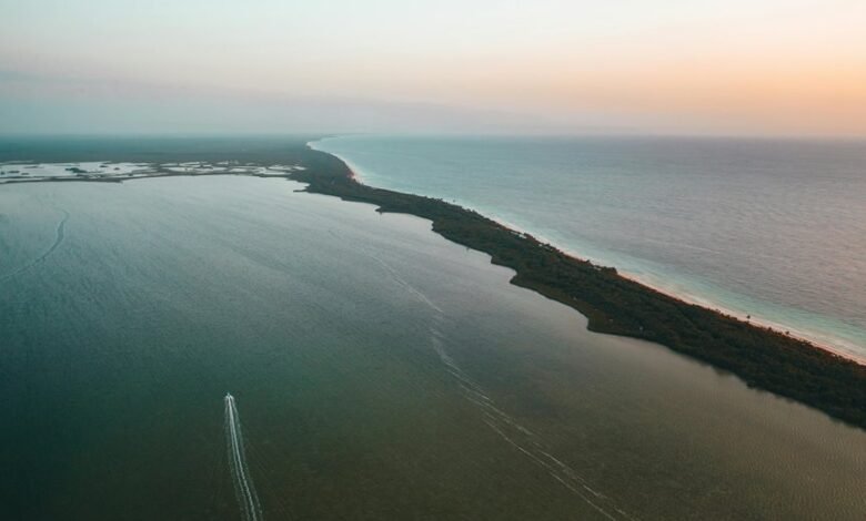 zixyurevay safety concerns highlighted