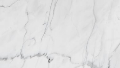 premium industry analysis report