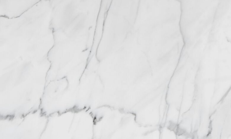 premium industry analysis report