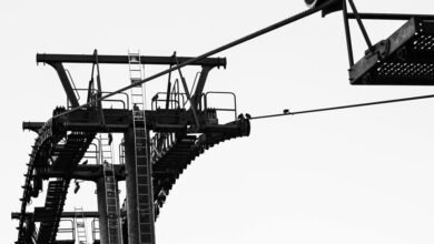 dynamic growth strategies unleashed