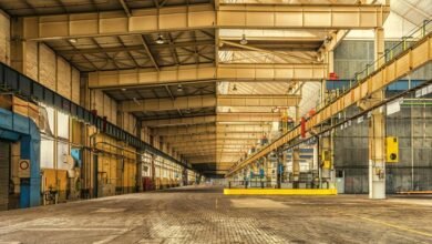 dynamic industry growth strategy