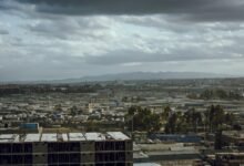 growth through visionary expansion