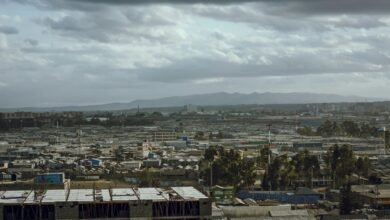 growth through visionary expansion