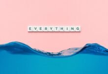 everything you should know today