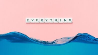 everything you should know today