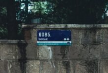 ip 8 218 55 158 matters