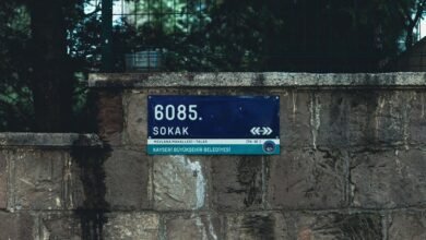 ip 8 218 55 158 matters