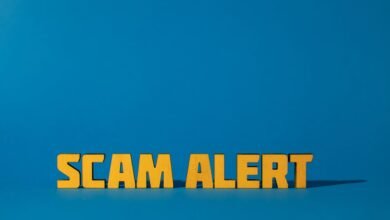 phone number support line today