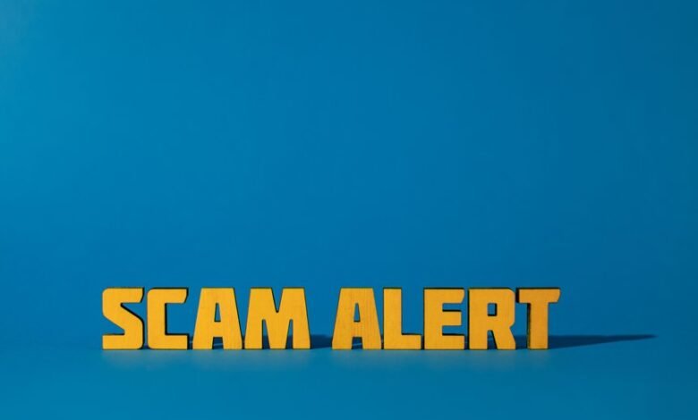 phone number support line today