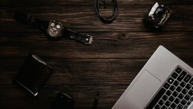 top things about zinohunzer